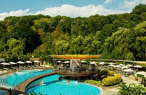 Фотографии объекта
                                Санаторий «Деренивская купель» Солотвино (Закарпатье)